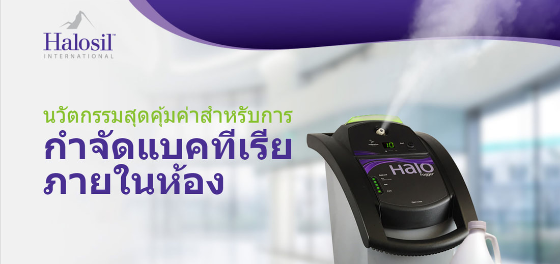 รูปหน้า HaloFogger ภาษาไทย