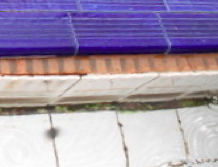 Pool draining side after using chlorine dioxide.