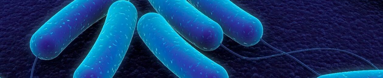 Legionella Control