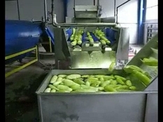 Process Water