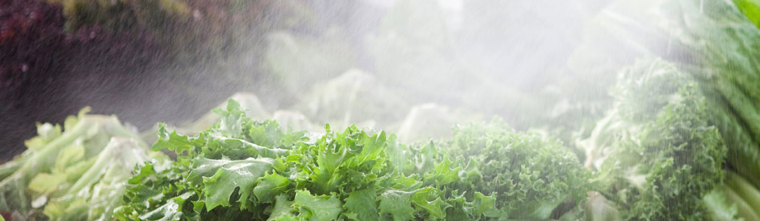Processed Water Treatment