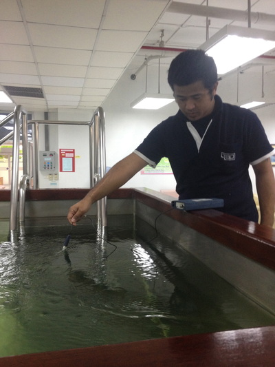 Data collecting for customer.
