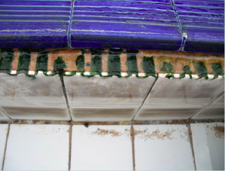 Pool draining side before using chlorine dioxide.