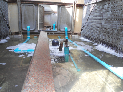 Cooling Tower After Using Chlorine Dioxide.