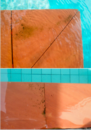 Pool side (brick) before using chlorine dioxide.