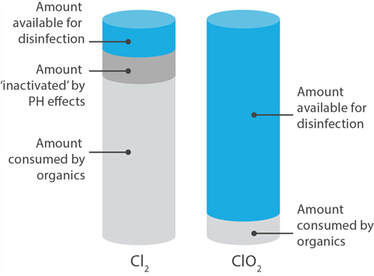 Chlorine and Chlorine Dioxide Reaction